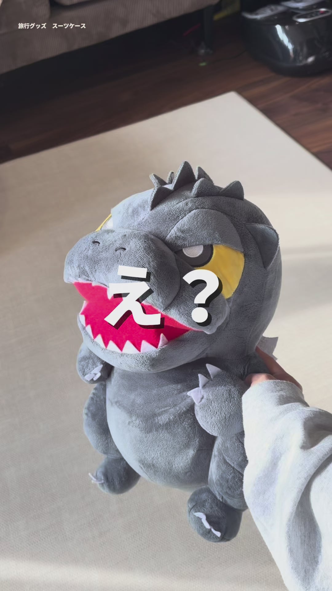 動画を読み込む: 